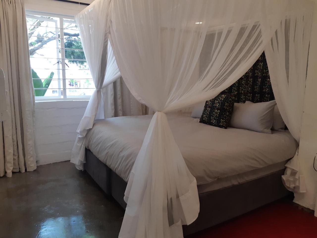Hornbill House Self Catering Accommodation Hermanus Luaran gambar